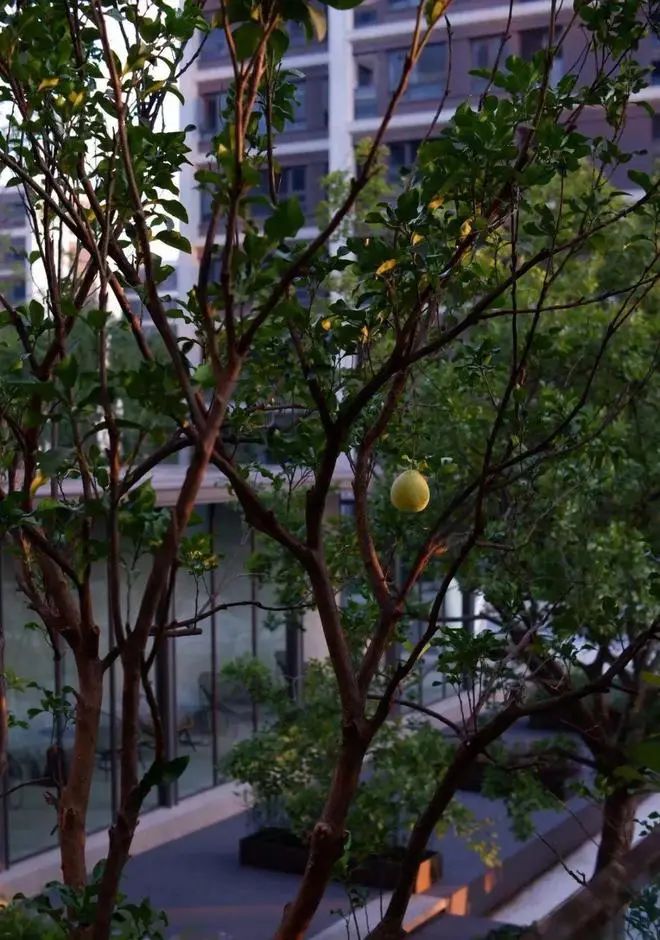 Mua nhà gần 5 vị trí này, 9/10 gia đình đều khấm khá hơn sau vài năm - không mê tín, mà là kinh nghiệm thực tế- Ảnh 5.