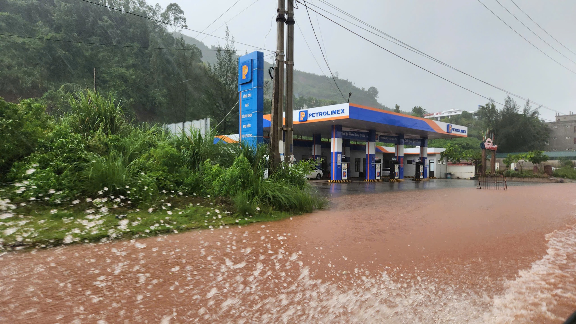 Trước giờ G bão số 5 Kajiki đổ bộ, mưa trắng trời, cây đổ, gió giật mạnh