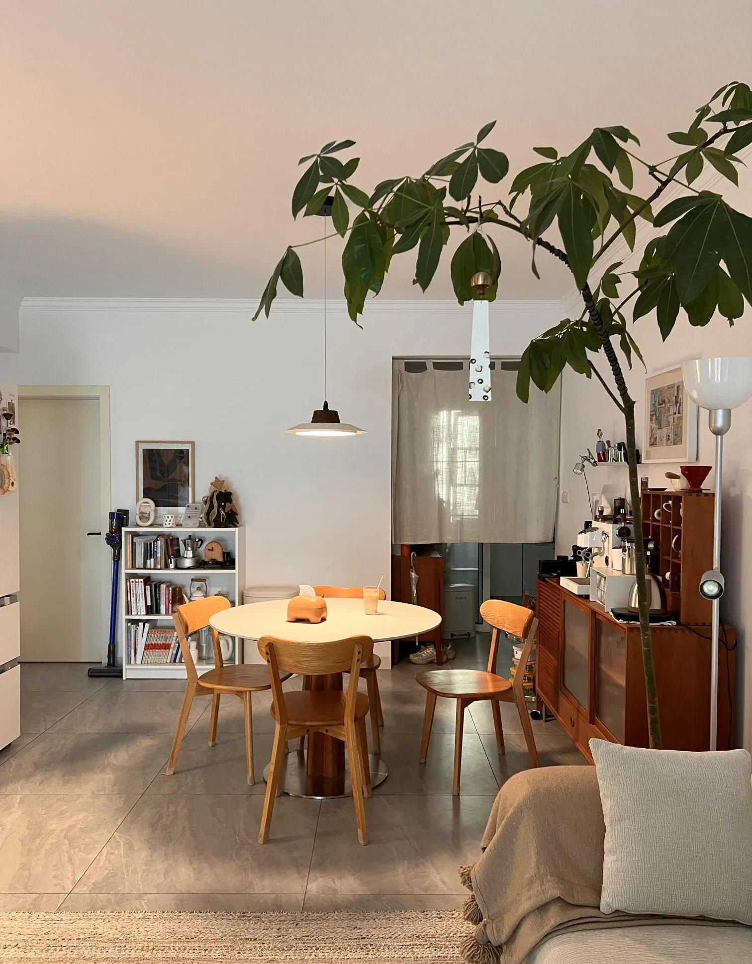 Đừng theo đuổi sự xa hoa nữa, một ngôi nhà giản dị như thế này mới là hạnh phúc đích thực!- Ảnh 3. Đừng theo đuổi sự xa hoa nữa, một ngôi nhà giản dị như thế này mới là hạnh phúc đích thực!- Ảnh 3.