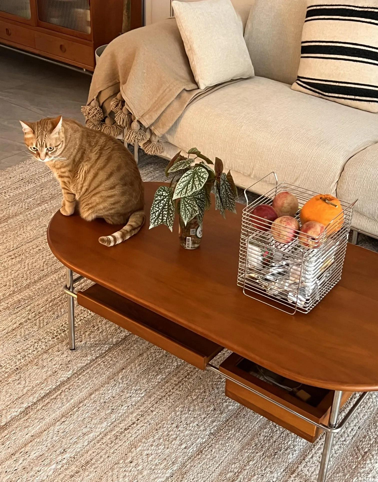 Đừng theo đuổi sự xa hoa nữa, một ngôi nhà giản dị như thế này mới là hạnh phúc đích thực!- Ảnh 6. Đừng theo đuổi sự xa hoa nữa, một ngôi nhà giản dị như thế này mới là hạnh phúc đích thực!- Ảnh 6.