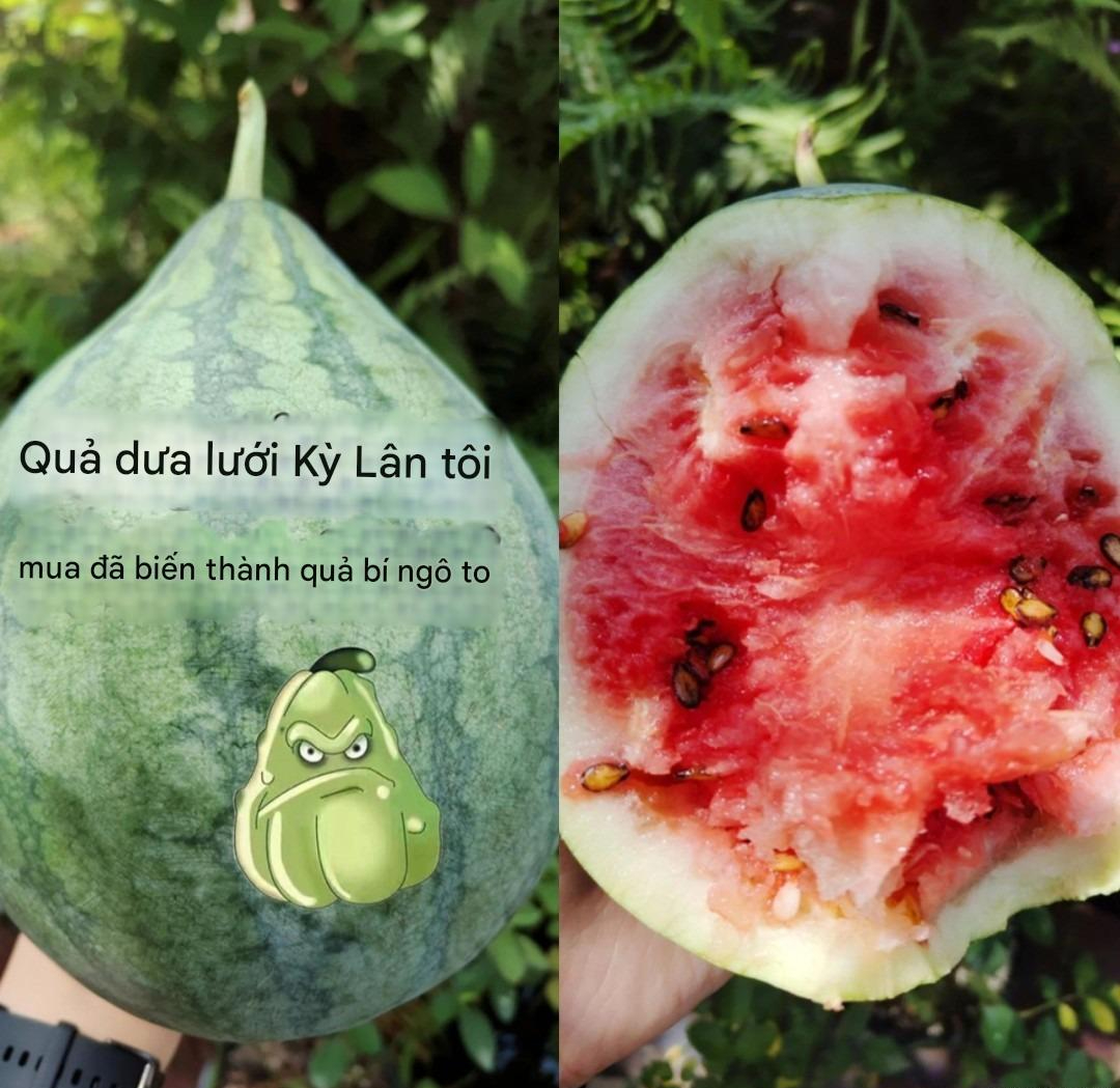 Kịch bản lừa đảo khiến người trung niên, cao tuổi tin sái cổ: Giấu con cháu mua hàng, tài khoản bốc hơi!- Ảnh 2. Kịch bản lừa đảo khiến người trung niên, cao tuổi tin sái cổ: Giấu con cháu mua hàng, tài khoản bốc hơi!- Ảnh 2.