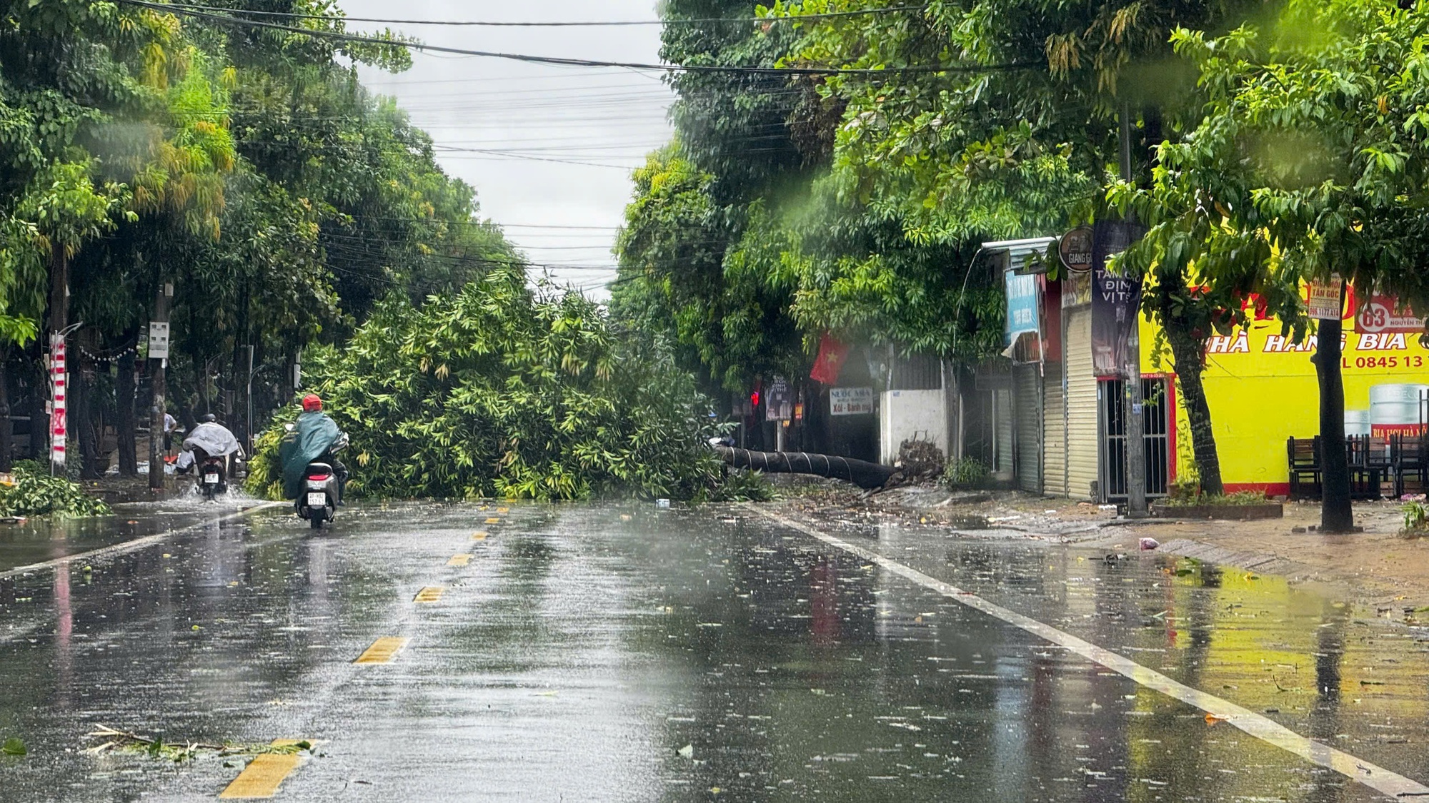 Trước giờ G bão số 5 Kajiki đổ bộ, mưa trắng trời, cây đổ, gió giật mạnh