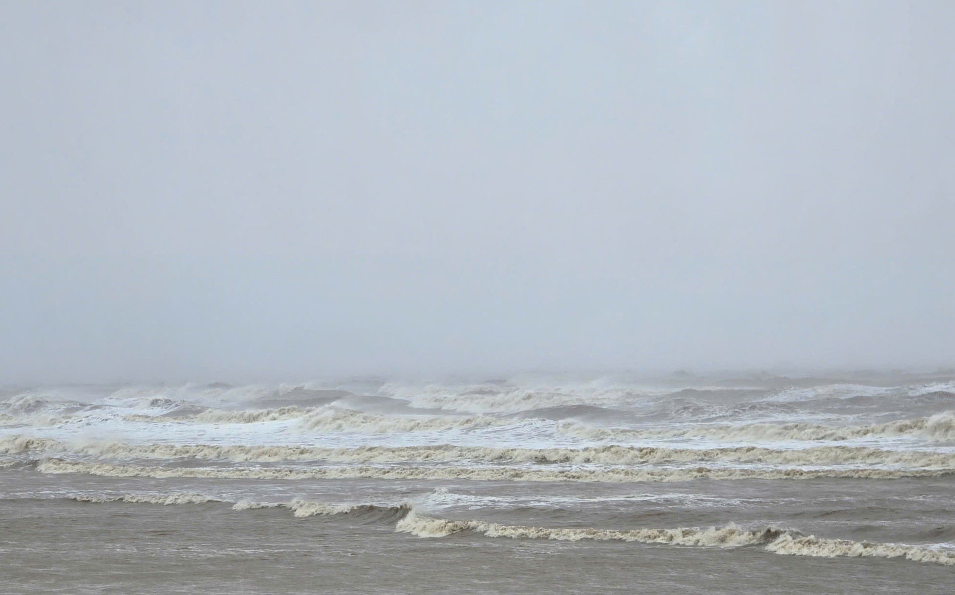 Trước giờ G bão số 5 Kajiki đổ bộ, mưa trắng trời, cây đổ, gió giật mạnh