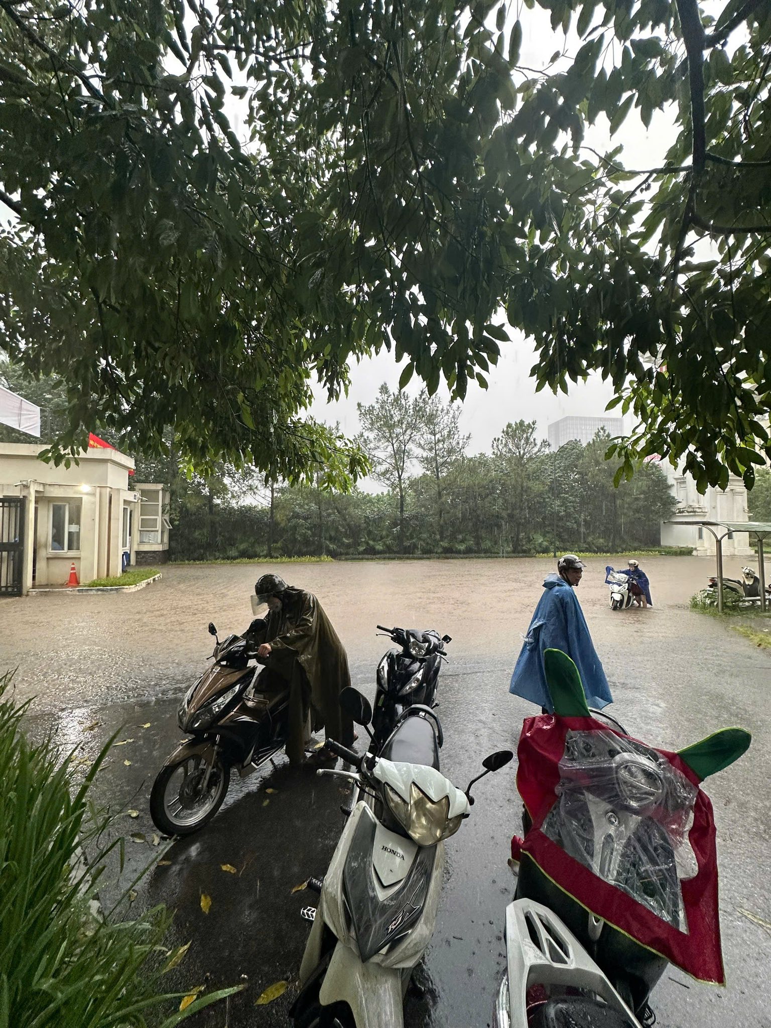 Khu nhà giàu Ciputra được ví như "làng chài" bởi hễ mưa lớn là ngập trong "biển nước" nhưng giá biệt thự trăm tỷ/căn - Ảnh 5.