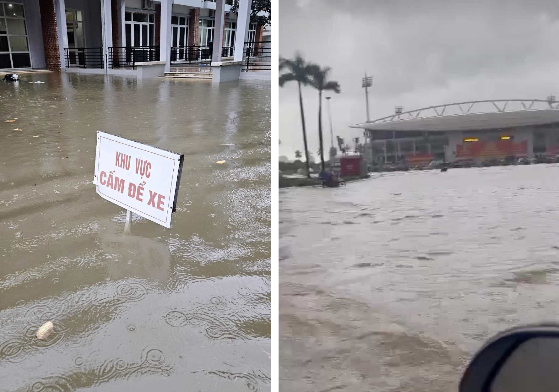 Hà Nội mưa ngập khắp nơi, bạn gái vẫn xách vợt đi đánh pickleball, nói một câu khiến tôi chết lặng- Ảnh 1.