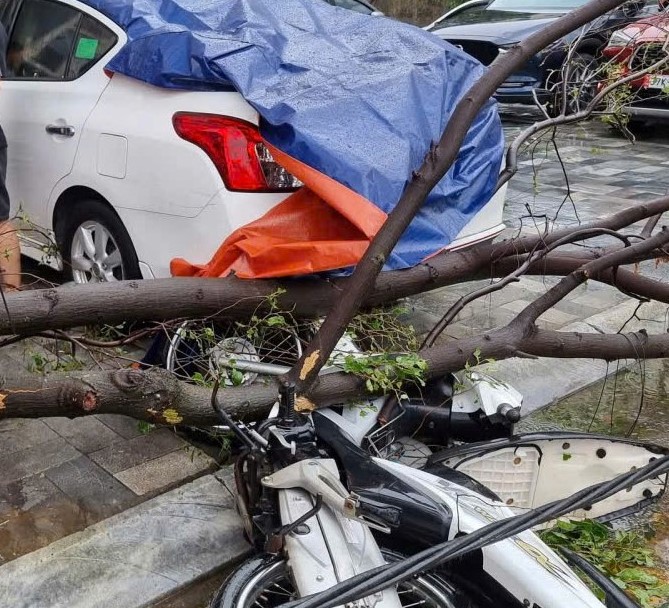 Hàng loạt xe ô tô bị cây xanh đè, mái tôn rơi trúng tại vùng tâm bão số 5 - Ảnh 6.