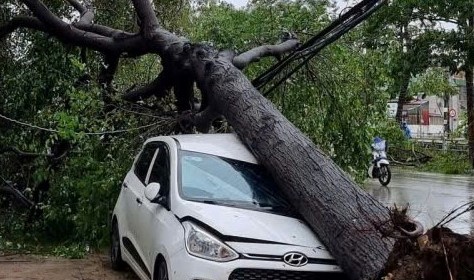 Hàng loạt xe ô tô bị cây xanh đè, mái tôn rơi trúng tại vùng tâm bão số 5 - Ảnh 5.