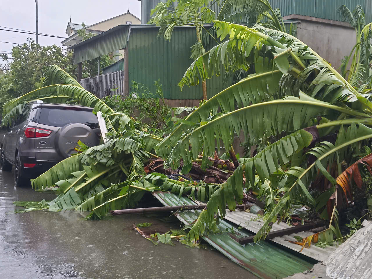Hàng loạt xe ô tô bị cây xanh đè, mái tôn rơi trúng tại vùng tâm bão số 5 - Ảnh 7.