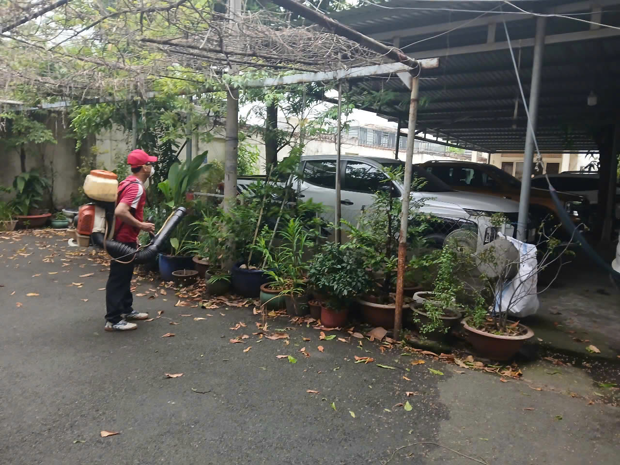 Dịch bệnh sốt xuất huyết ở TP HCM tăng báo động, hơn 70% là ca mắc nặng- Ảnh 1. Dịch bệnh sốt xuất huyết ở TP HCM tăng báo động, hơn 70% là ca mắc nặng- Ảnh 1.