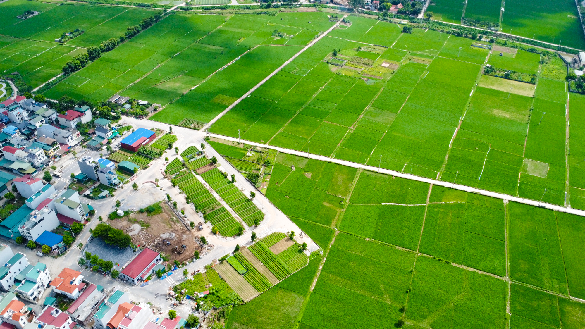 Toàn cảnh khu vực sắp làm đường nối cầu Tứ Liên với đường 71.000 tỷ, đại đô thị của Vinhomes sẽ nối thẳng với sân bay lớn nhất miền Bắc- Ảnh 9. Toàn cảnh khu vực sắp làm đường nối cầu Tứ Liên với đường 71.000 tỷ, đại đô thị của Vinhomes sẽ nối thẳng với sân bay lớn nhất miền Bắc- Ảnh 9.