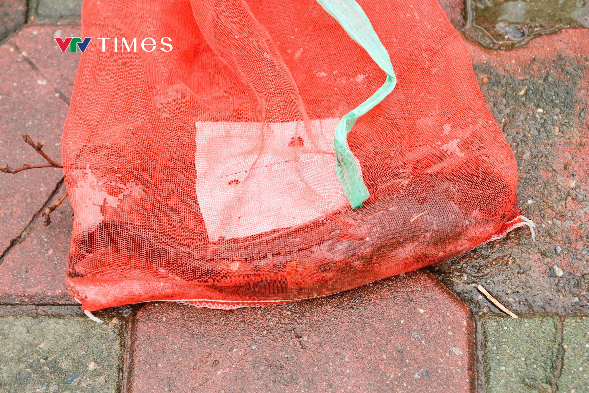 Người dân Thủ đô đổ về sông Tô Lịch câu cá sau mưa bão - Ảnh 7.