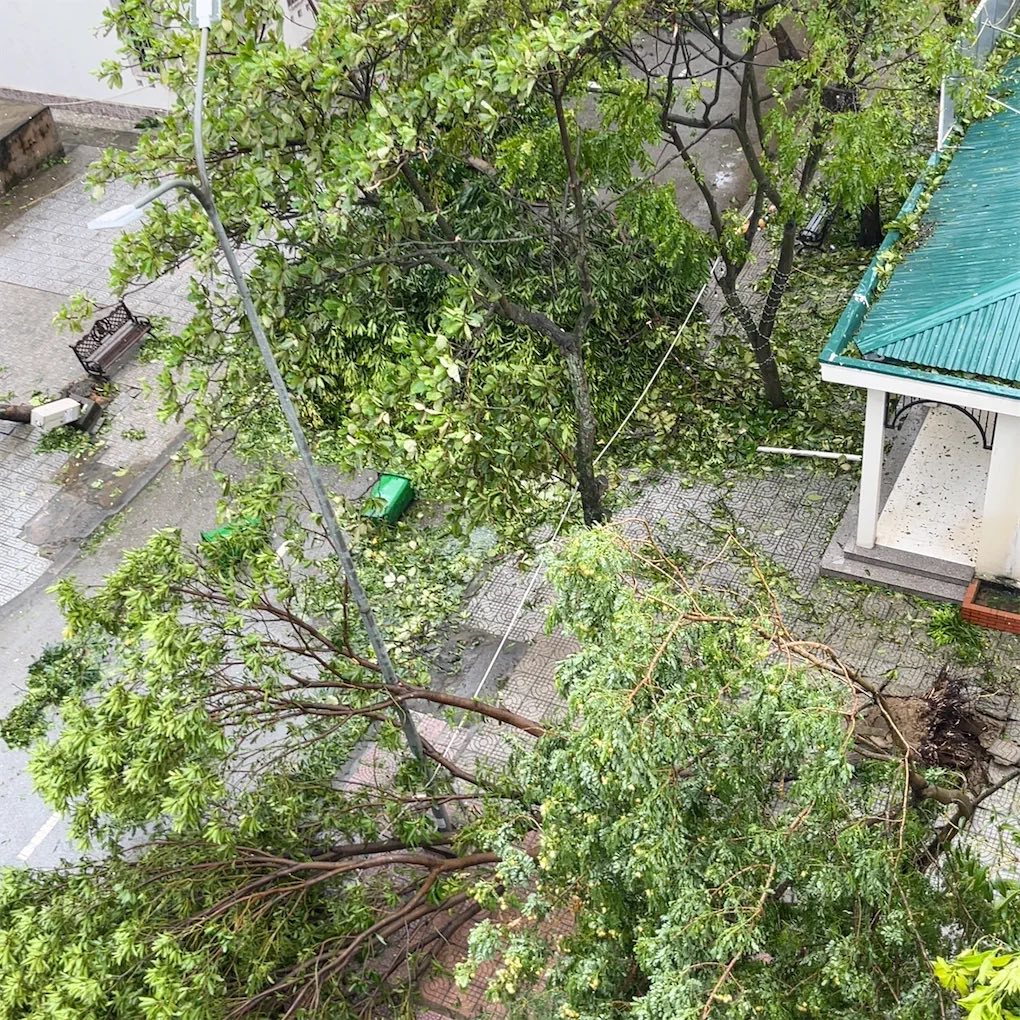 Khung cảnh khó tin tại các trường học ở miền Trung sau bão số 5: Sắp năm học mới rồi, mong mọi thứ sớm ổn định!- Ảnh 3. Khung cảnh khó tin tại các trường học ở miền Trung sau bão số 5: Sắp năm học mới rồi, mong mọi thứ sớm ổn định!- Ảnh 3.