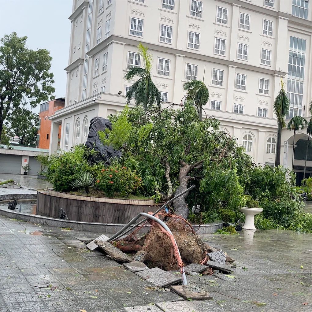 Khung cảnh khó tin tại các trường học ở miền Trung sau bão số 5: Sắp năm học mới rồi, mong mọi thứ sớm ổn định!- Ảnh 4. Khung cảnh khó tin tại các trường học ở miền Trung sau bão số 5: Sắp năm học mới rồi, mong mọi thứ sớm ổn định!- Ảnh 4.
