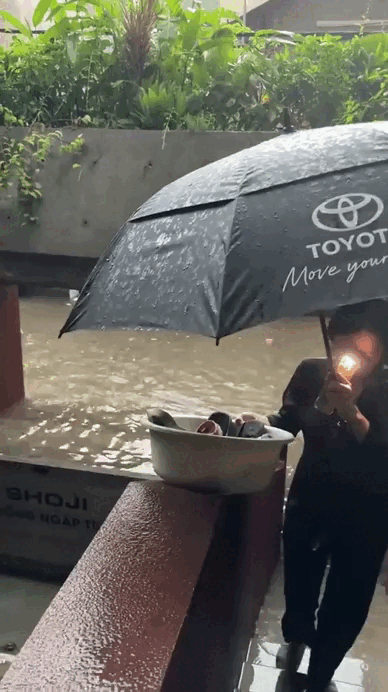 Viral nhất TikTok: Ngôi nhà "bất khả xâm phạm" giữa biển nước Hà Nội nhờ cửa chống ngập 200 triệu, chủ nhà là ông trùm chuỗi Nhậu Tự Do cực hot!- Ảnh 8.