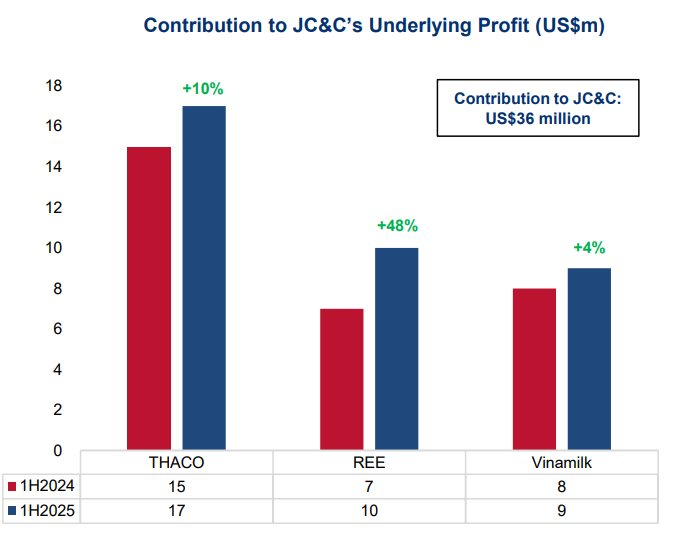 Tập đoàn chi hàng tỷ USD vào Thaco, Vinamilk, REE báo lãi ròng nửa đầu năm 2025 giảm 23%: Thị trường Việt Nam tỏa sáng, lãi từ REE tăng gần 50%- Ảnh 3.