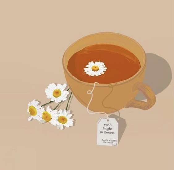 Sau tuổi 50 tôi nhận ra: Biết sớm 3 điều này, tôi đã sống hạnh phúc, trọn vẹn hơn- Ảnh 1.