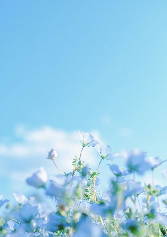 Sau tuổi 50 tôi nhận ra: Biết sớm 3 điều này, tôi đã sống hạnh phúc, trọn vẹn hơn- Ảnh 3.