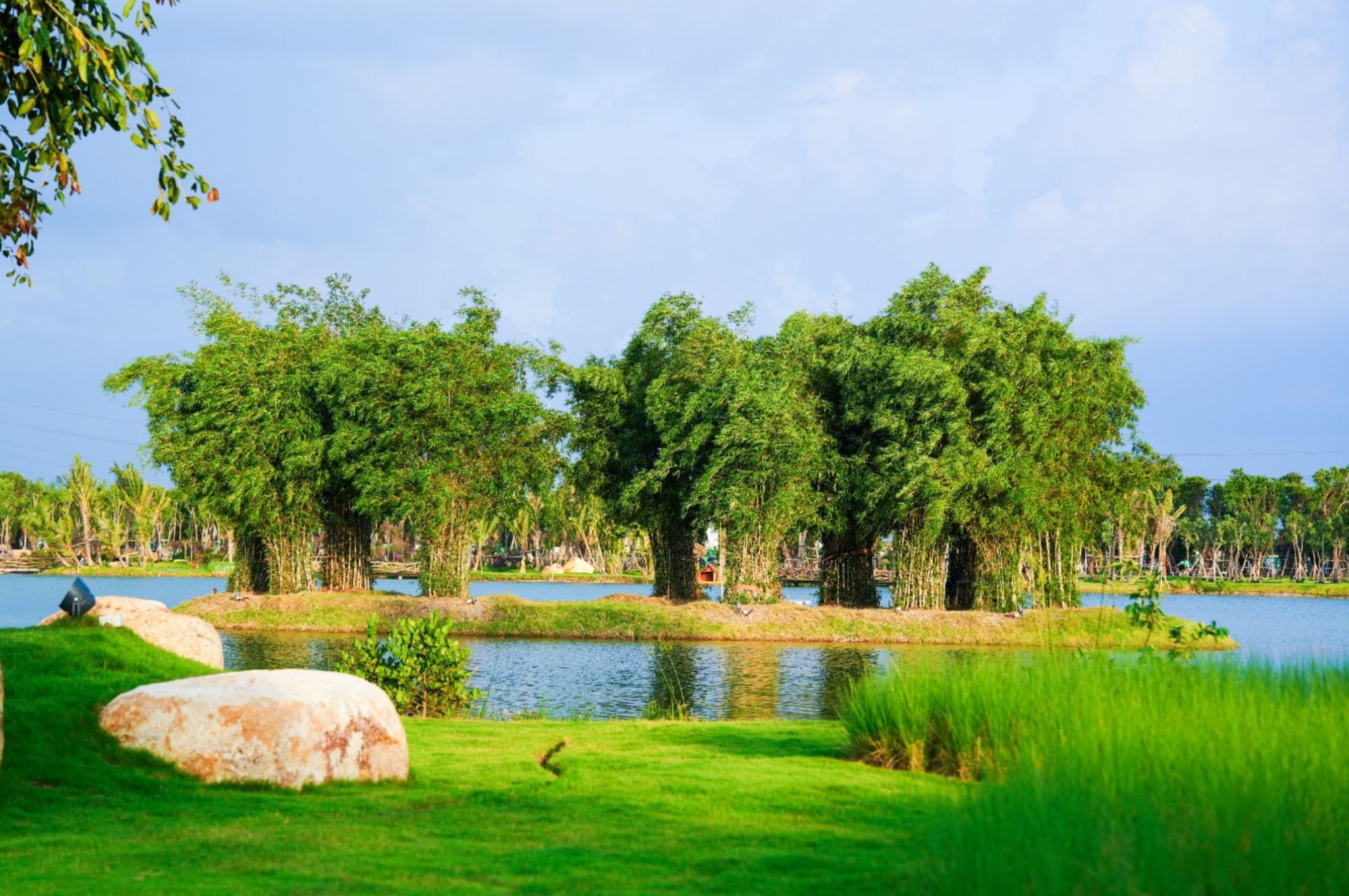 “Campus y tế” đầu tiên tại Việt Nam chính thức đi vào hoạt động: Đề cao chăm sóc - trị liệu từ môi trường tự nhiên- Ảnh 5.