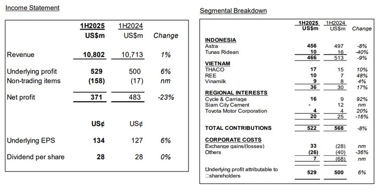 Tập đoàn chi hàng tỷ USD vào Thaco, Vinamilk, REE báo lãi ròng nửa đầu năm 2025 giảm 23%: Thị trường Việt Nam tỏa sáng, lãi từ REE tăng gần 50%- Ảnh 2.