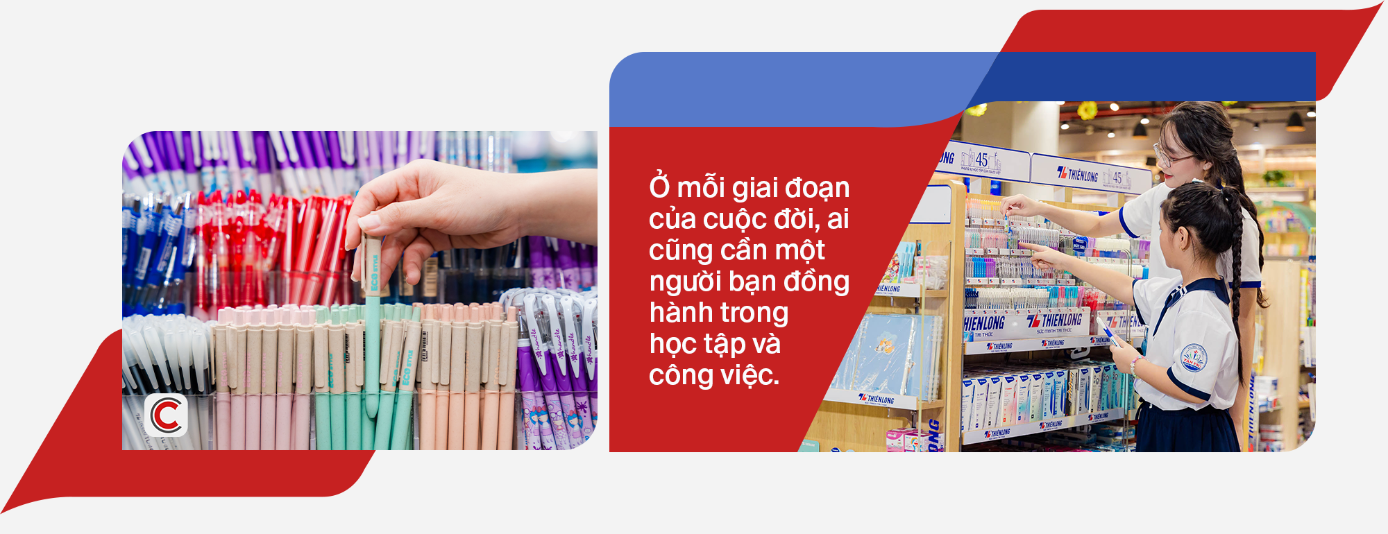 CEO Thiên Long: Muốn đưa thương hiệu đi xa, việc đầu tiên là phải đứng vững trên quê hương của mình- Ảnh 3.