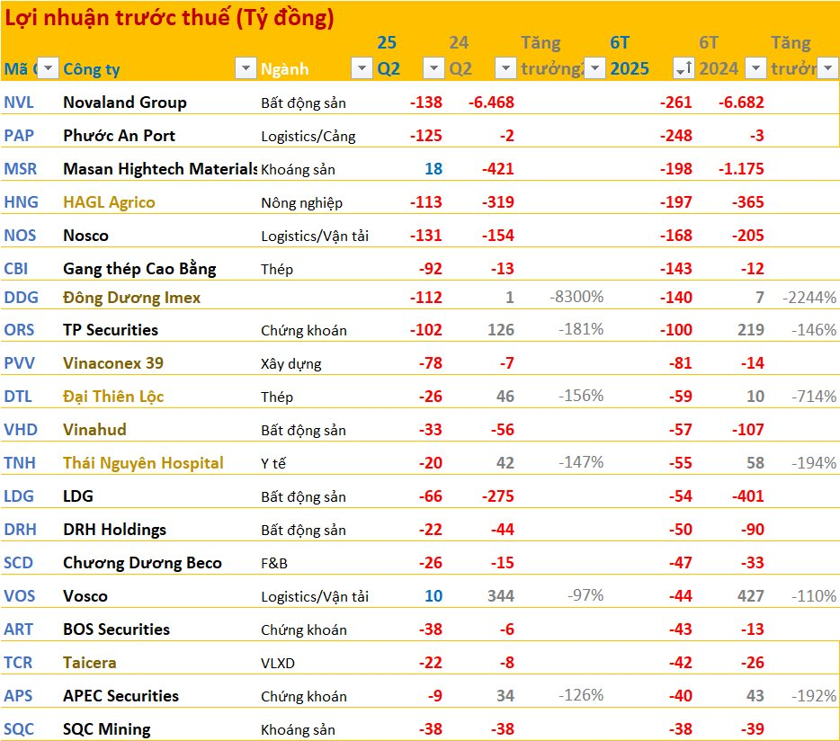 20 doanh nghiệp lỗ lớn nhất 6T2025: Novaland 'vô địch', bất động sản áp đảo, 8 doanh nghiệp lỗ trăm tỷ- Ảnh 4.