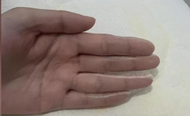 4 đồ dùng bán cực chạy trên các sàn thương mại điện tử bị "phanh phui" chứa chất gây ung thư, nhiều gia đình Việt vẫn đang vô tư sử dụng- Ảnh 3.