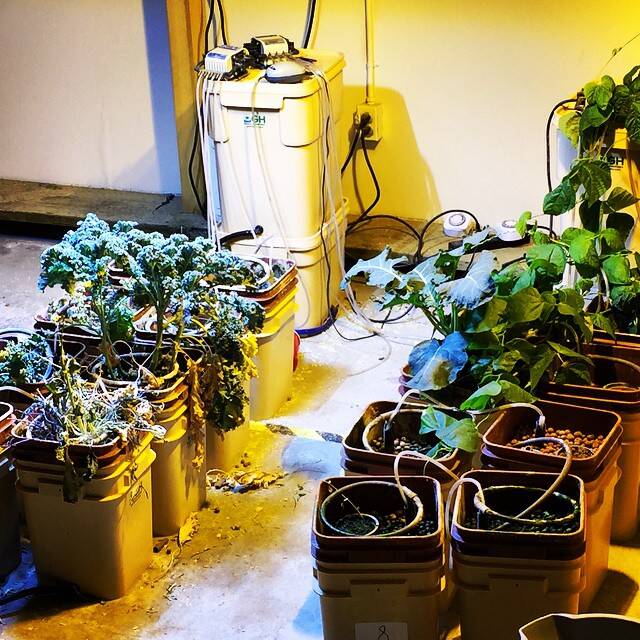 Bên trong tòa nhà chung cư "chứa cả thế giới", có thể sống cả đời mà không cần đi ra ngoài: Tự cung tự cấp chứa gần như toàn bộ một thị trấn- Ảnh 8.