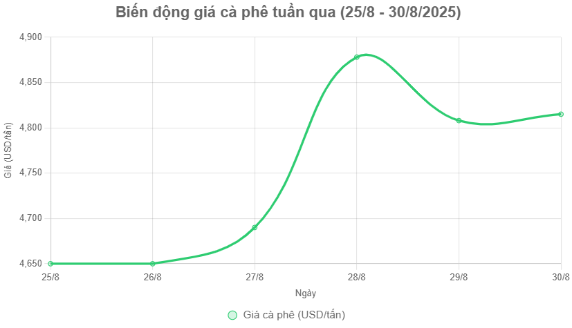 Giá cà phê hôm nay 31-8: Phân tích thị trường của "ông trùm cà phê"- Ảnh 2. Giá cà phê hôm nay 31-8: Phân tích thị trường của "ông trùm cà phê"- Ảnh 2.