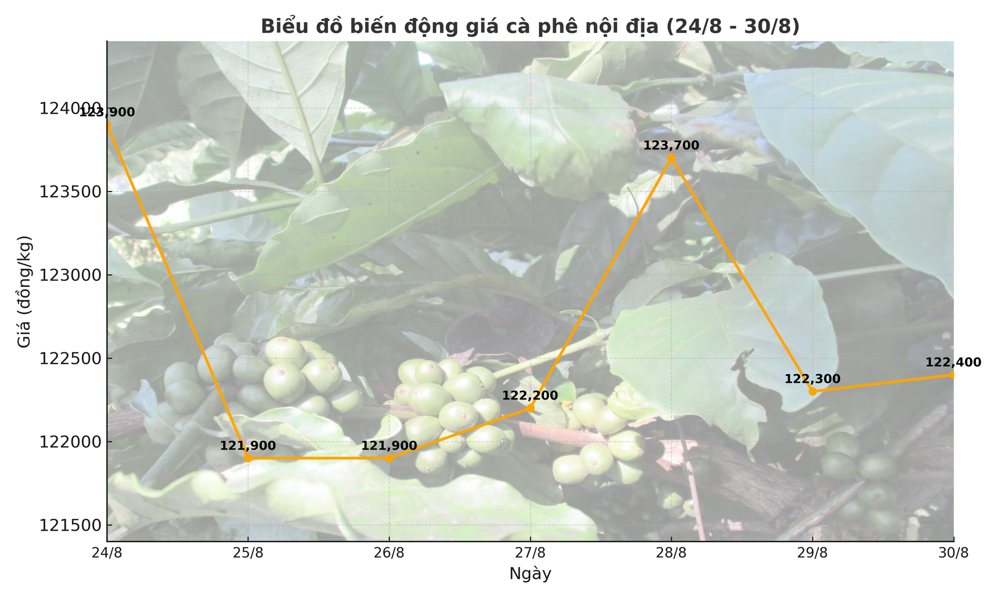 Giá cà phê hôm nay 31-8: Phân tích thị trường của "ông trùm cà phê"- Ảnh 3. Giá cà phê hôm nay 31-8: Phân tích thị trường của "ông trùm cà phê"- Ảnh 3.