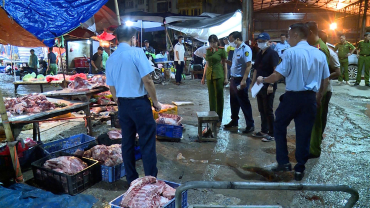 Hà Nội: Phát hiện 5 đối tượng mua bán, vận chuyển, tiêu thụ lợn chết, lợn bệnh- Ảnh 2.