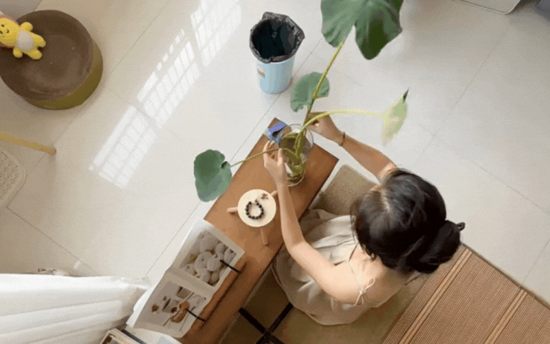 Tại sao bạn mãi không gặp may? Có thể do phong thủy ngôi nhà đang "tụ âm khí"- Ảnh 1. Tại sao bạn mãi không gặp may? Có thể do phong thủy ngôi nhà đang "tụ âm khí"- Ảnh 1.
