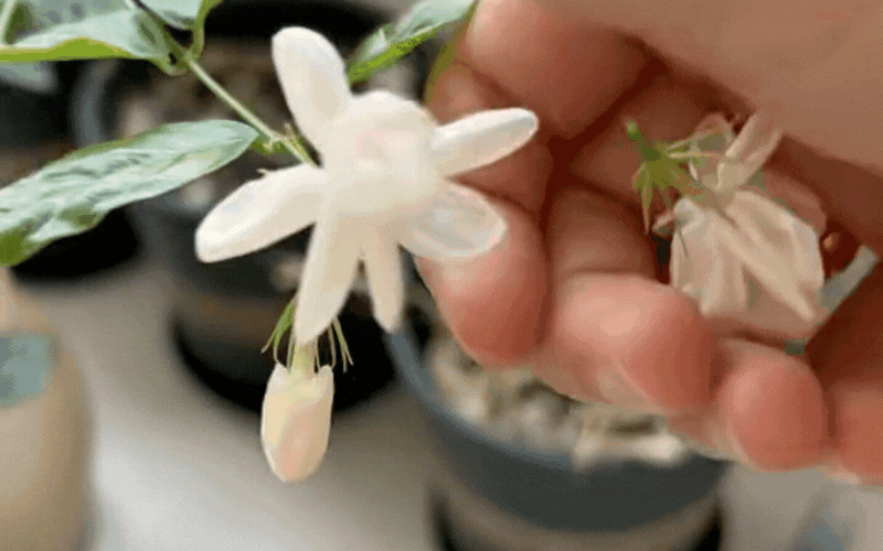 Tại sao bạn mãi không gặp may? Có thể do phong thủy ngôi nhà đang "tụ âm khí"- Ảnh 2. Tại sao bạn mãi không gặp may? Có thể do phong thủy ngôi nhà đang "tụ âm khí"- Ảnh 2.