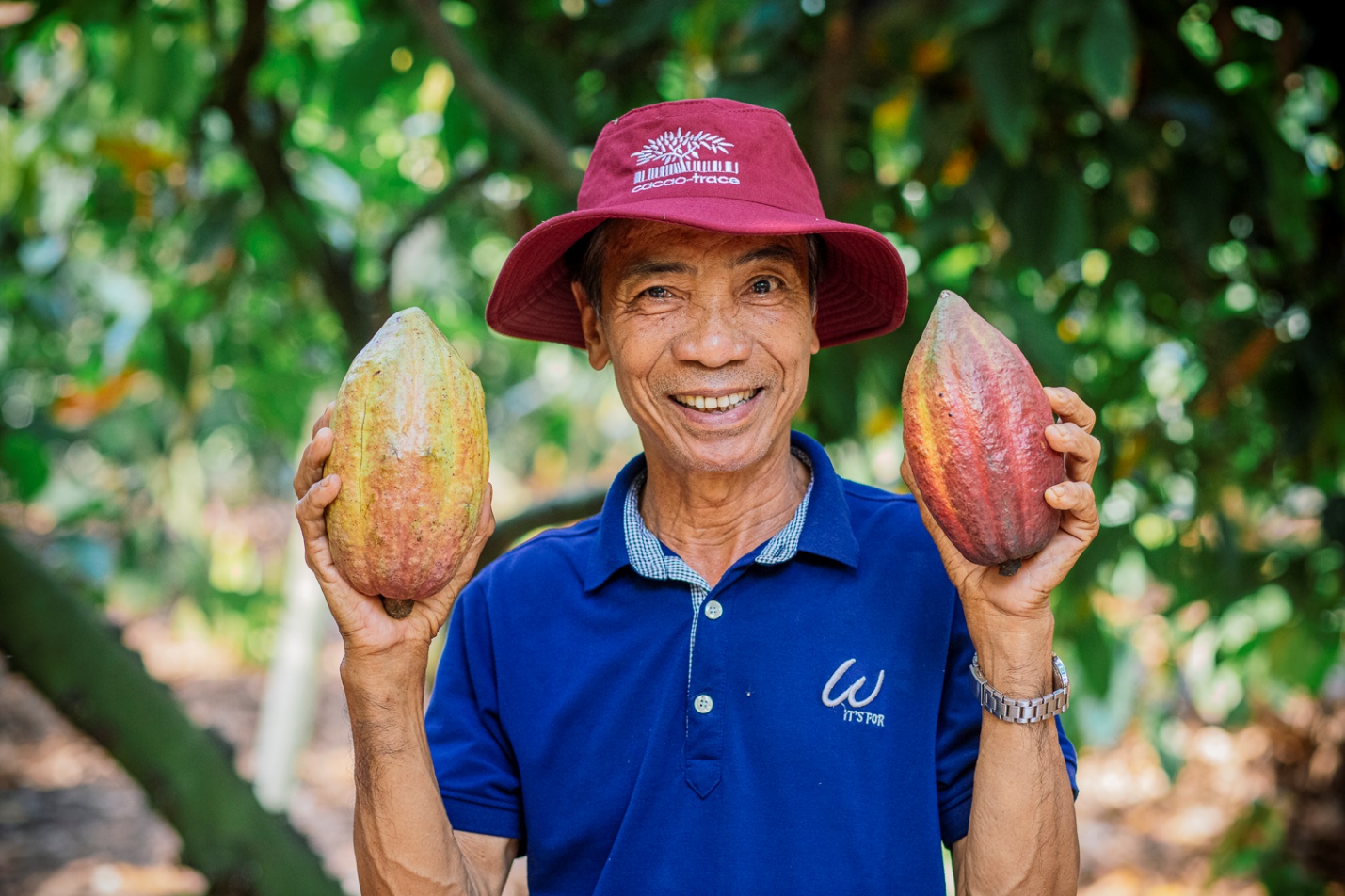 Cây Cacao Việt Nam và tiềm lực vươn mình ra thế giới - Ảnh 3.