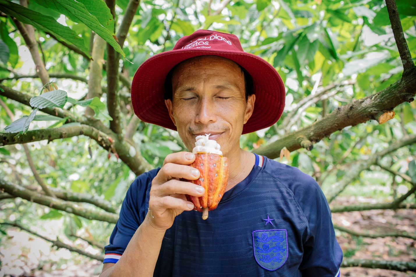 Cây Cacao Việt Nam và tiềm lực vươn mình ra thế giới - Ảnh 4.