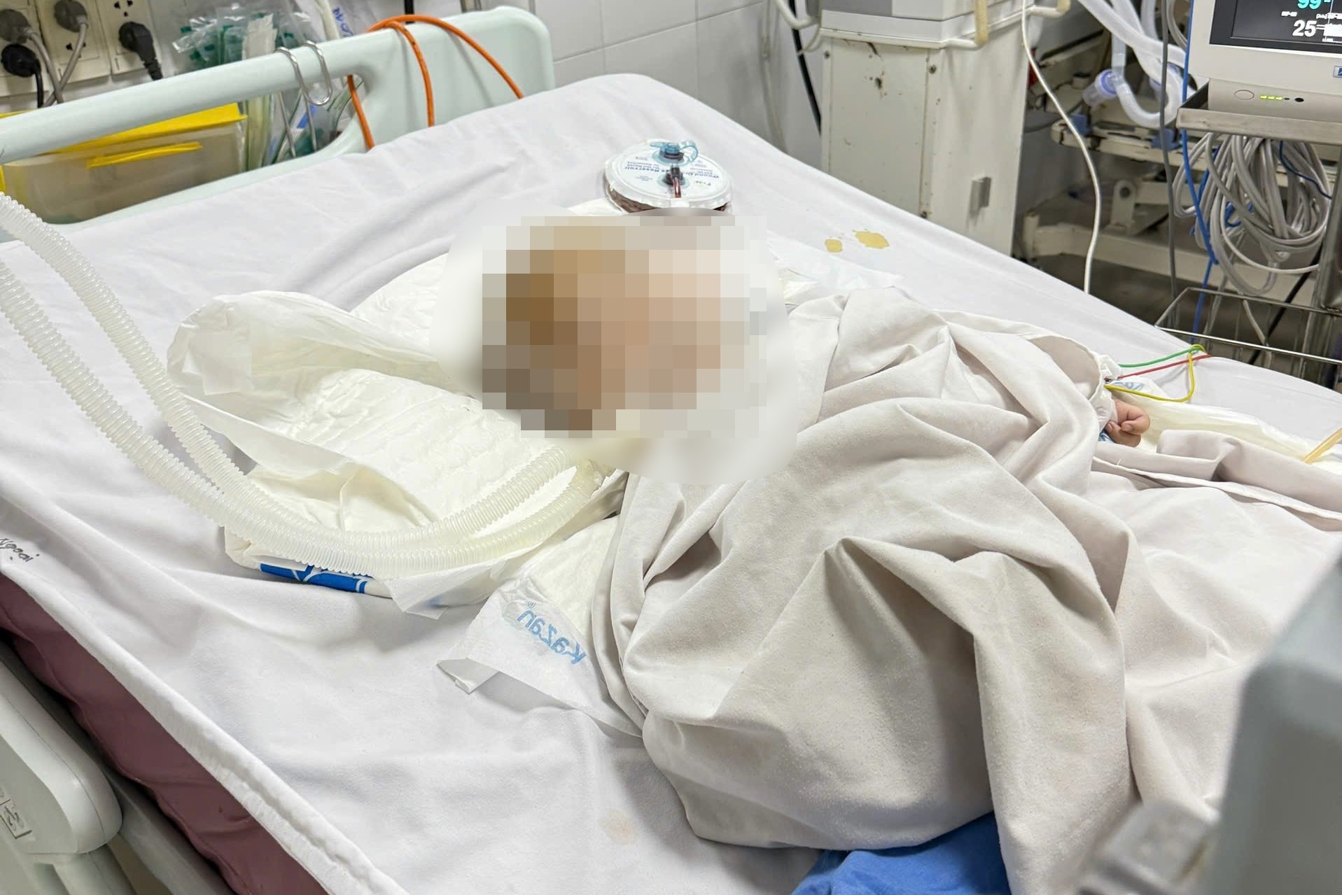 Bé trai 14 tháng tuổi bị bảo mẫu bạo hành, ném xuống nền nhà đã qua đời- Ảnh 1.