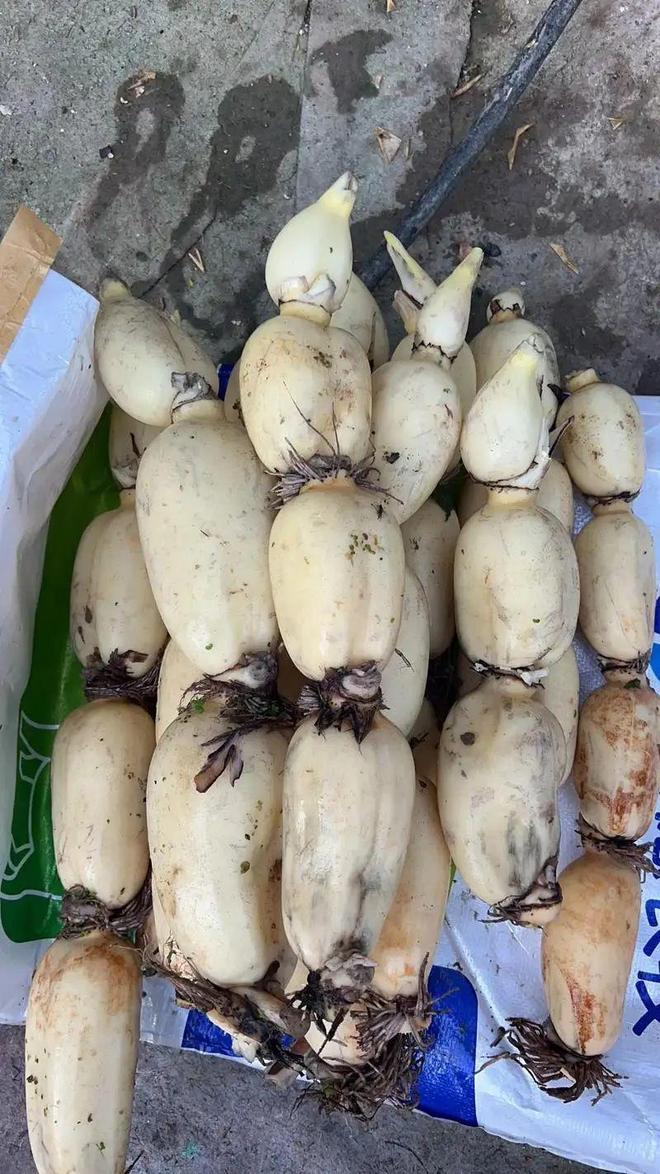 7 loại rau “bẩn” nhất chợ mùa hè: Nhìn thì tươi ngon nhưng dễ rước bệnh vào người, tuyệt đối tránh mua!- Ảnh 3.