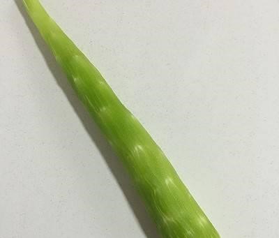 Loại rau được ví là "chổi dọn sạch ruột": Luân phiên nấu theo 3 công thức này vừa giòn ngon lại chống táo bón - Ảnh 5. Loại rau được ví là "chổi dọn sạch ruột": Luân phiên nấu theo 3 công thức này vừa giòn ngon lại chống táo bón - Ảnh 5.