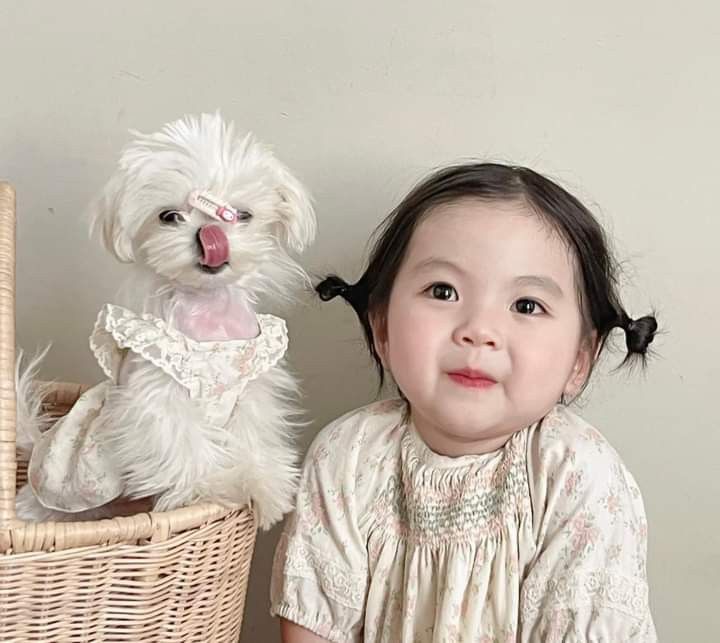 Đứa trẻ yêu thương và được dạy dỗ yêu thương động vật lớn lên sẽ như thế nào?- Ảnh 1.