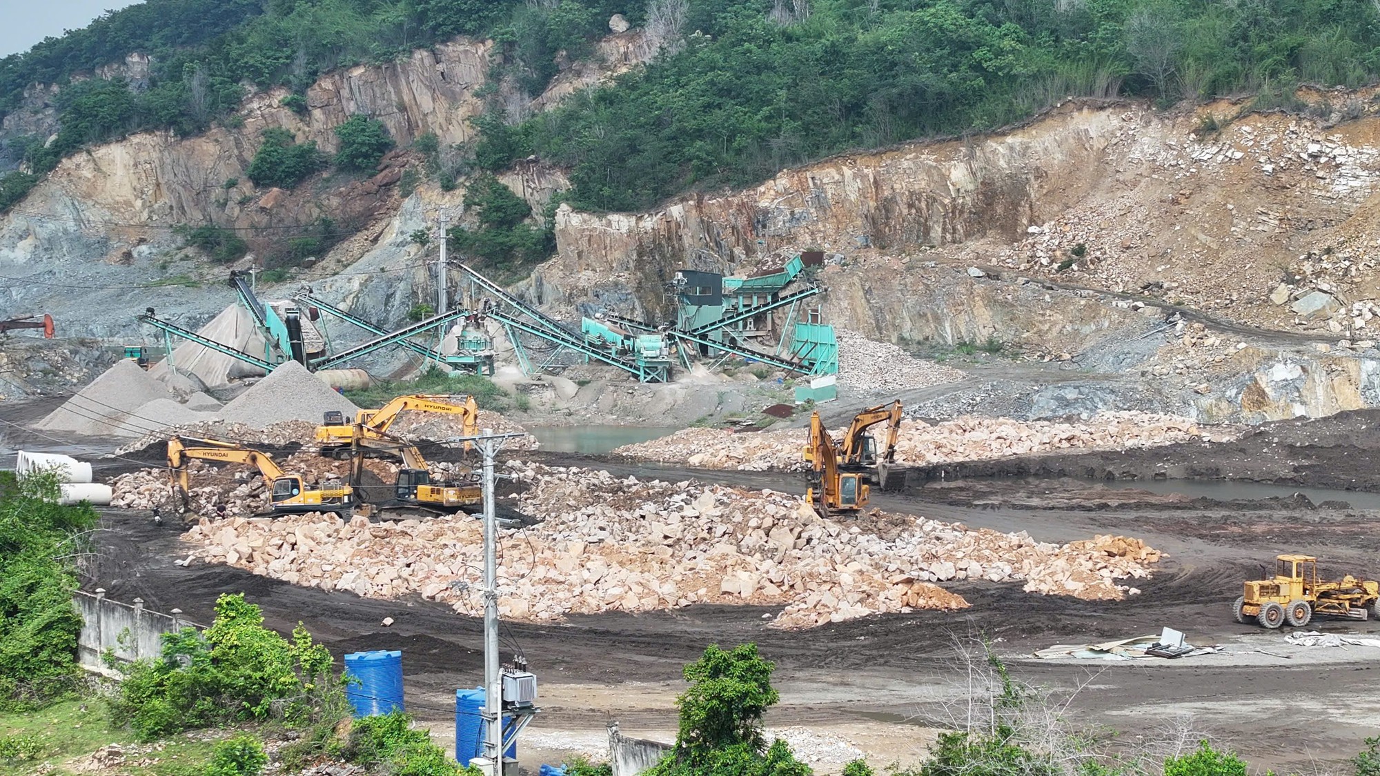 Công an TP HCM bắt khẩn cấp 2 giám đốc- Ảnh 2.