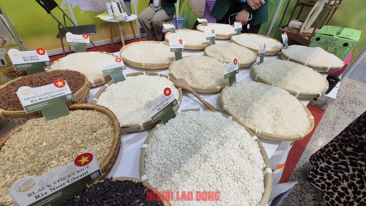 Nhập khẩu gạo Việt Nam tới 1 t: Điều gì đang diễn ra trong nền kinh tế? - Ảnh 1.