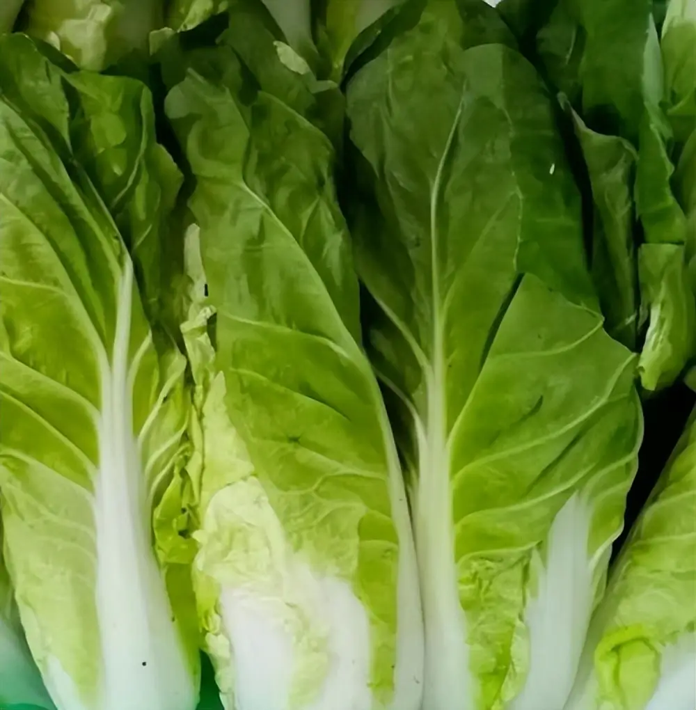 Đem theo 3,5 tỷ lên sống cùng con gái, ông lão ngày nào cũng phải ăn bắp cải, cho đến khi cháu gái buột miệng nói điều này- Ảnh 1.