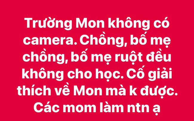 Chồng, bố mẹ chồng và cả bố mẹ ruột kiên quyết phản đối 1 trường mầm non, phụ huynh ở TP.HCM đau đầu: Em phải làm thế nào?- Ảnh 1.