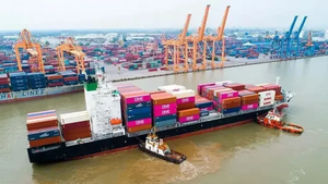 Kinh tế Việt Nam tiếp tục khởi sắc- Ảnh 5.