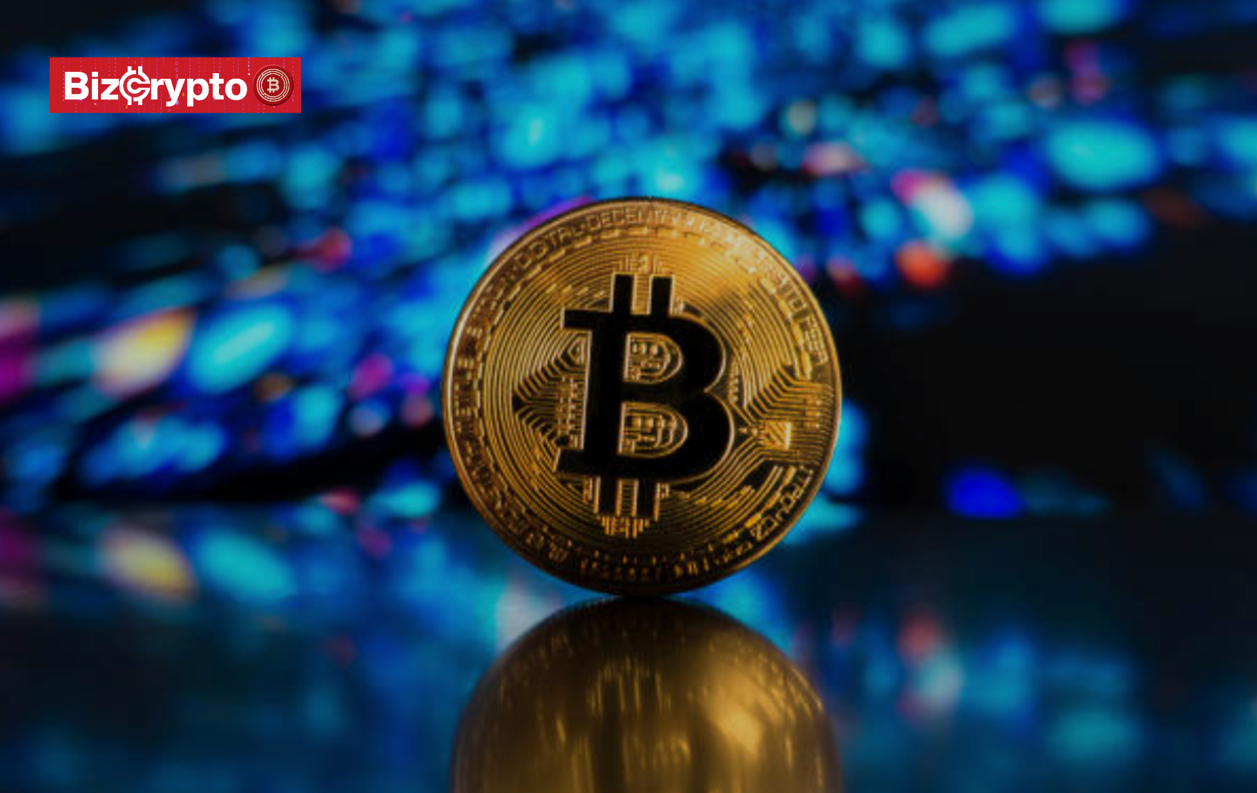 Giá Bitcoin vượt 110.000 USD: Có bao nhiêu người trên thế giới đang sở hữu trọn vẹn một Bitcoin?- Ảnh 1.