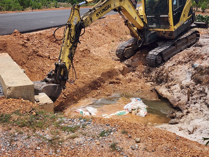 Hàng loạt xác heo chết bị vứt bừa bãi ra môi trường ở Quảng Trị- Ảnh 1. Hàng loạt xác heo chết bị vứt bừa bãi ra môi trường ở Quảng Trị- Ảnh 1.