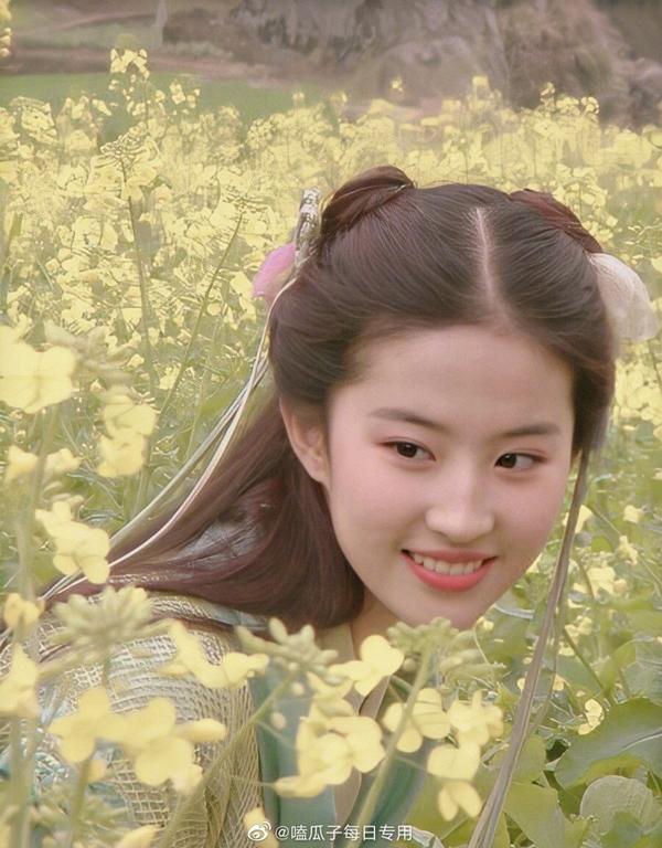 10 công chúa đẹp nhất Trung Quốc: Lưu Diệc Phi chỉ xếp thứ 6, hạng 1 đến cả thần tiên cũng không sánh bằng- Ảnh 20.