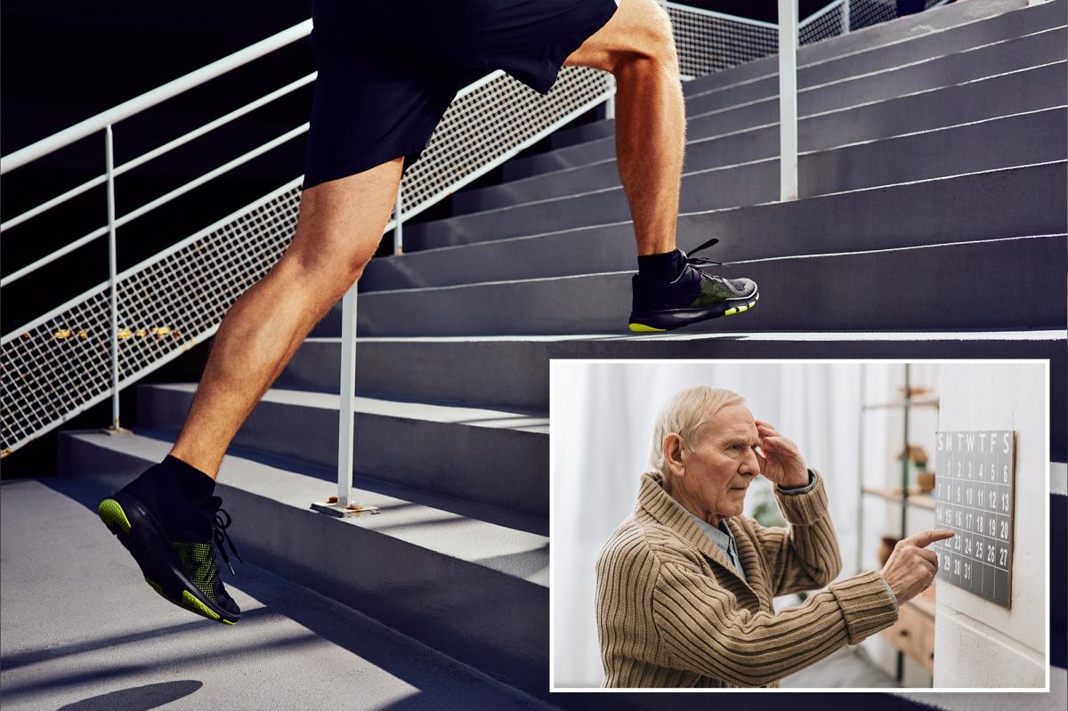 Kích thước bắp chân tiết lộ bạn có thể sống được bao lâu: 1 tỉ lệ trên cơ thể cho biết nguy cơ bệnh tật của bạn- Ảnh 5.