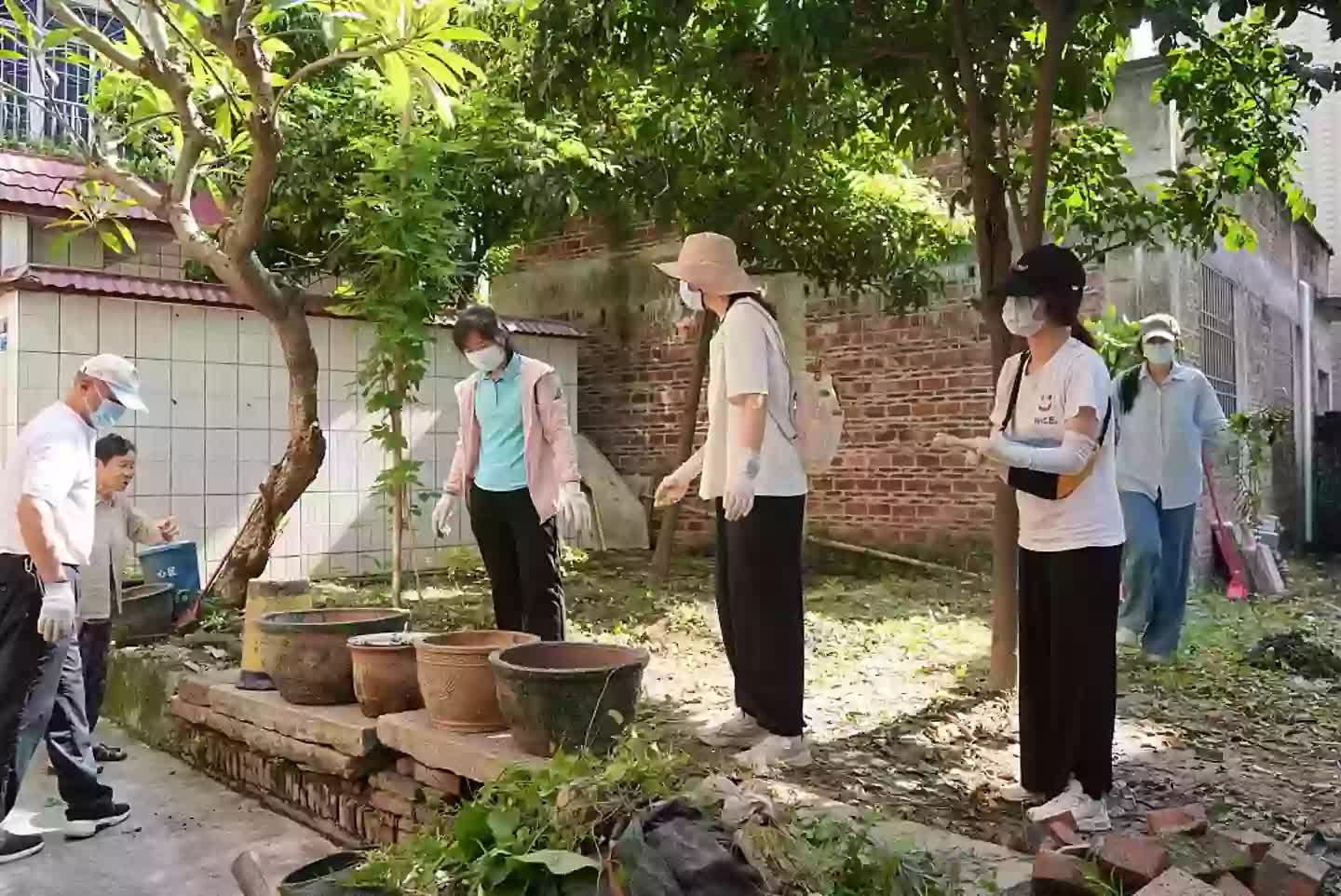 Toàn cảnh dịch Chikungunya lan rộng toàn cầu: Trung Quốc ghi nhận hơn 7.000 ca, Mỹ phát cảnh báo- Ảnh 5.