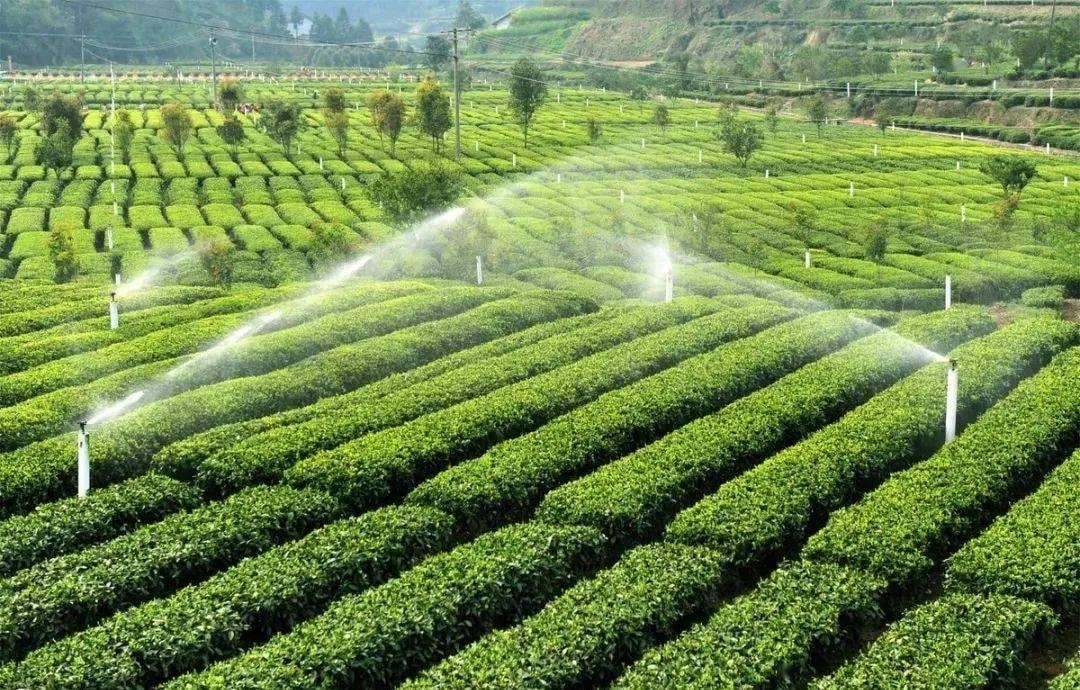 Thêm trường hợp mới sẽ được bồi thường khi Nhà nước thu hồi đất, người dân lưu ý! 1 Thêm trường hợp mới sẽ được bồi thường khi Nhà nước thu hồi đất, người dân lưu ý!