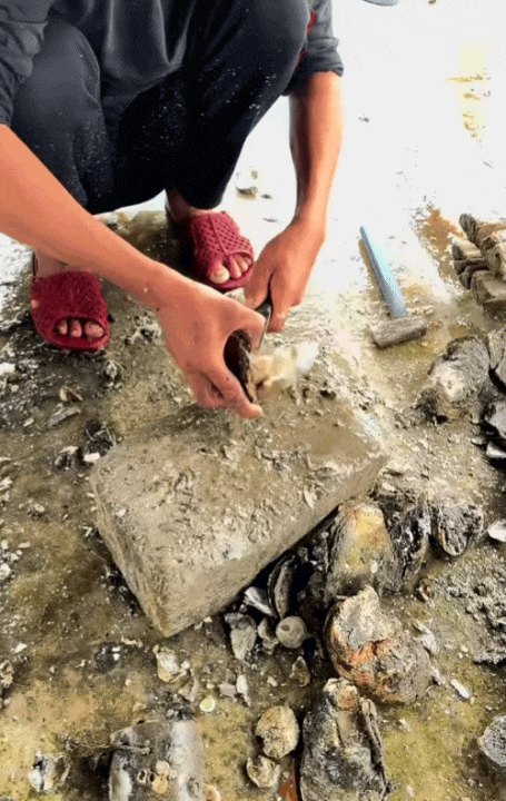 Đi Vũng Tàu nhiều nhưng bạn đã biết đến 'đùng Long Sơn' chưa?- Ảnh 10. Đi Vũng Tàu nhiều nhưng bạn đã biết đến 'đùng Long Sơn' chưa?- Ảnh 10.